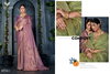 Nayantara Vol 2 By Zarkaashi Nylone Tissue Sarees Wholesale Online
